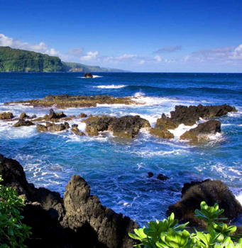 Maui Shore